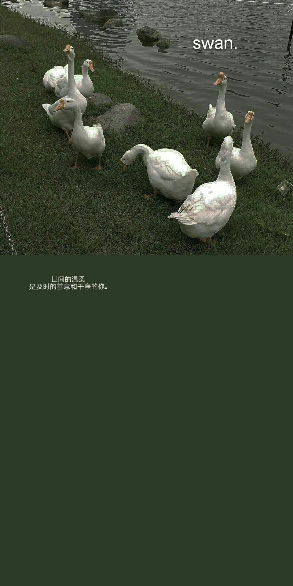 壁纸 文字