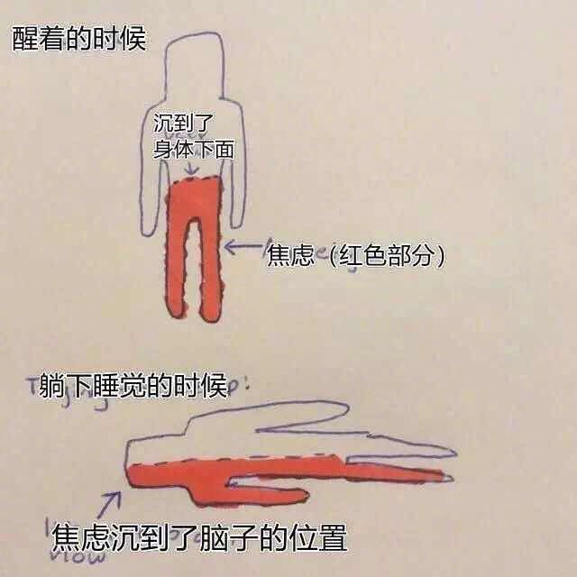 秃头小宝贝