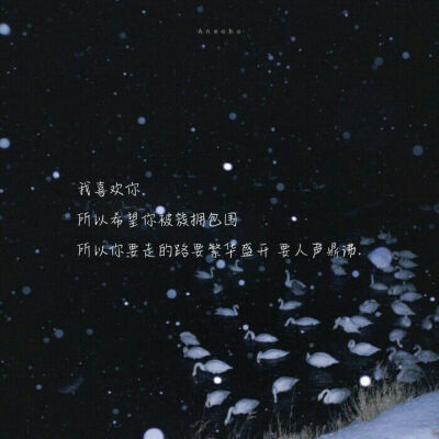 -某某-
-小说推荐-