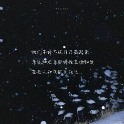 -某某-
-小说推荐-