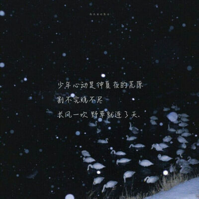 -某某-
-小说推荐-