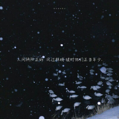 -某某-
-小说推荐-