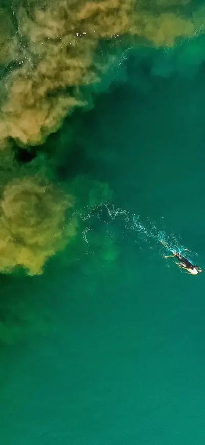 壁纸 风景 海洋 