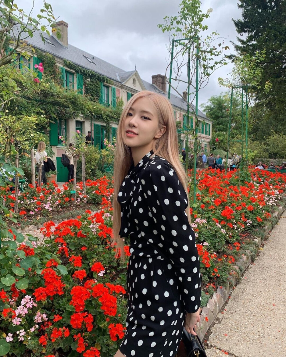 BLACKPINK Rosé 朴彩英 ins 高清 壁纸