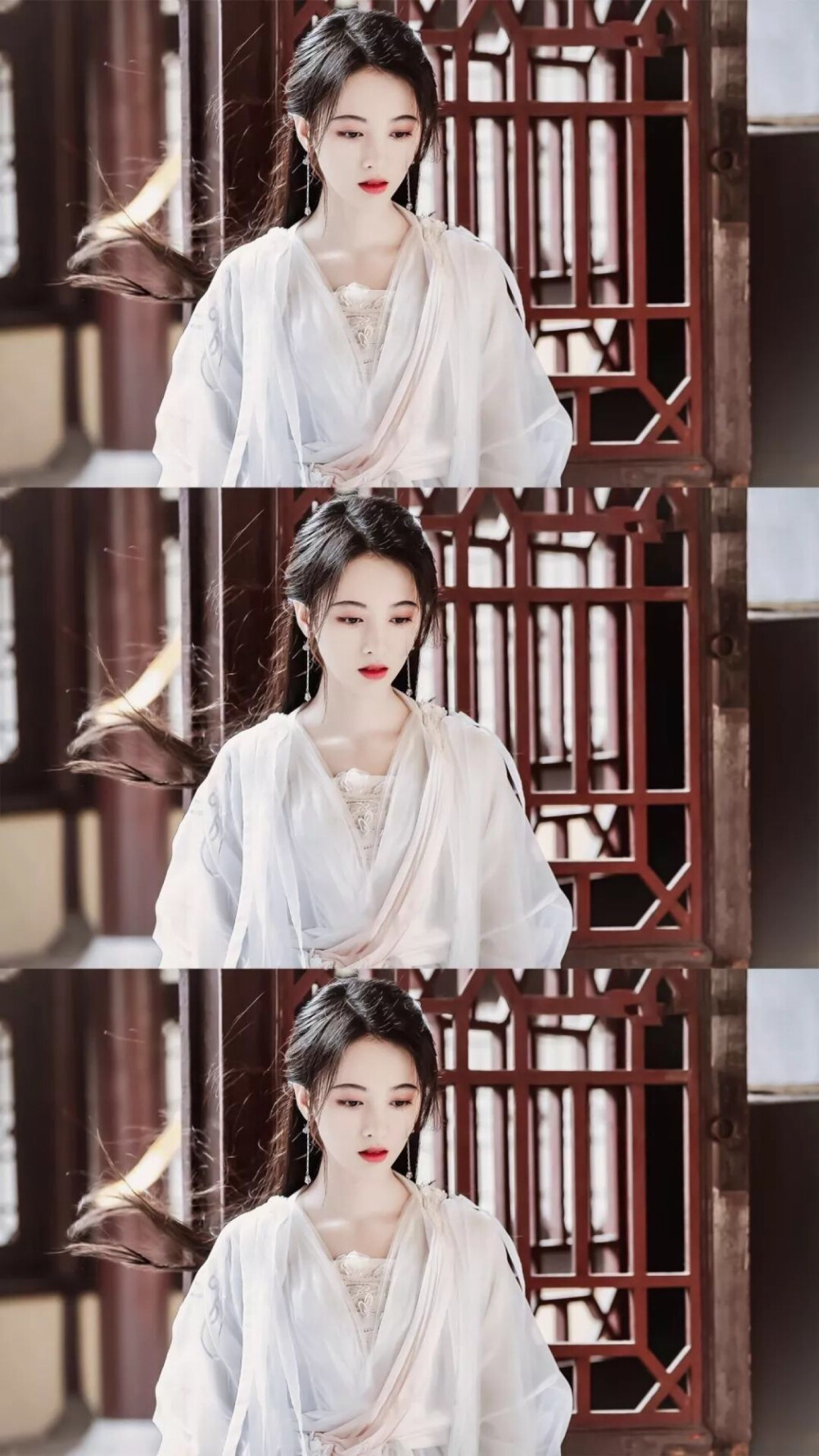 我家小鞠太美了
蜜橘