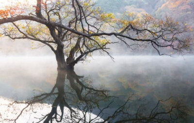 风来无市声，景物占深净。鸥狎堂上翁，时来点天镜。—— 叶茵《水竹野十咏·野堂 》