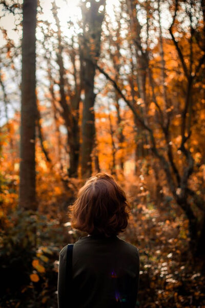 最明亮时总是最迷茫，最繁华时也是最悲凉。——林语堂《京华烟云》