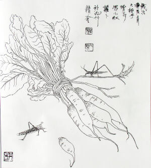 白描