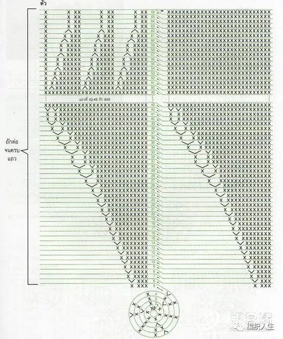 三角龙