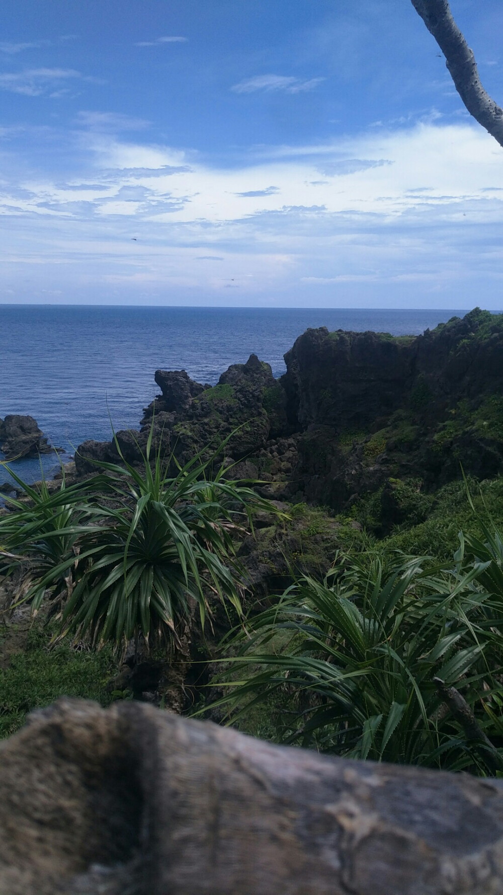 台湾