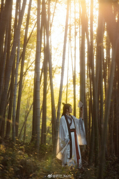 背影.侧影.远景.古风.古装.汉服.男子