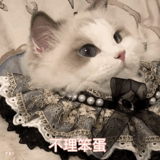 群里存的