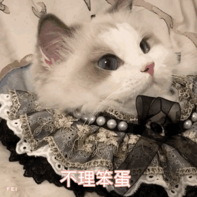 群里存的