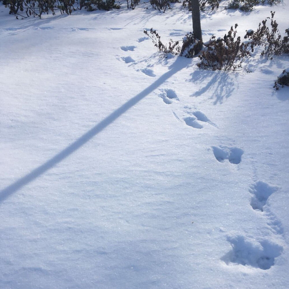 跟我一起看雪