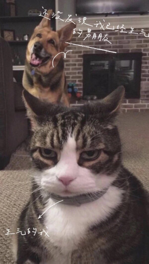 其实我很喜欢你♡