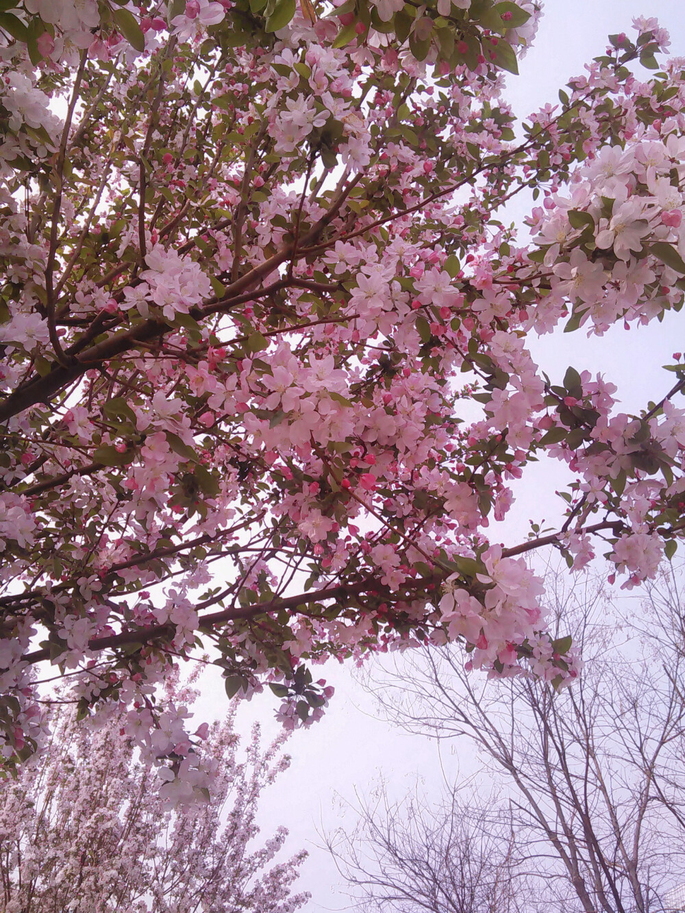 而最后你变成猜谜底的人
她成了你的谜语