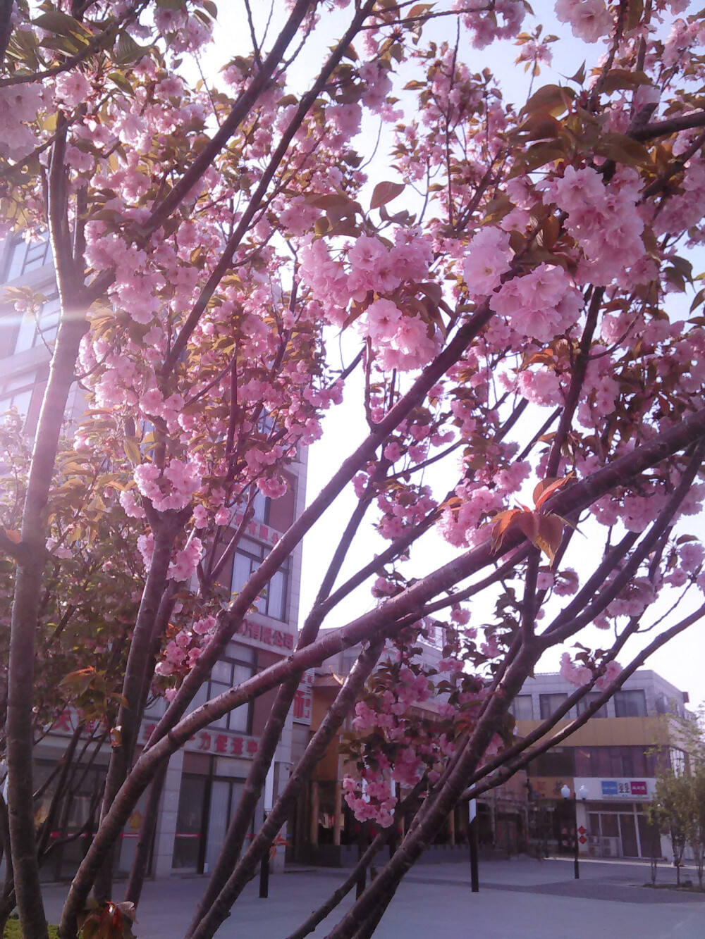 而最后你变成猜谜底的人
她成了你的谜语