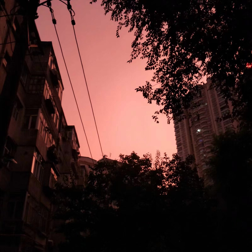 而最后你变成猜谜底的人
她成了你的谜语