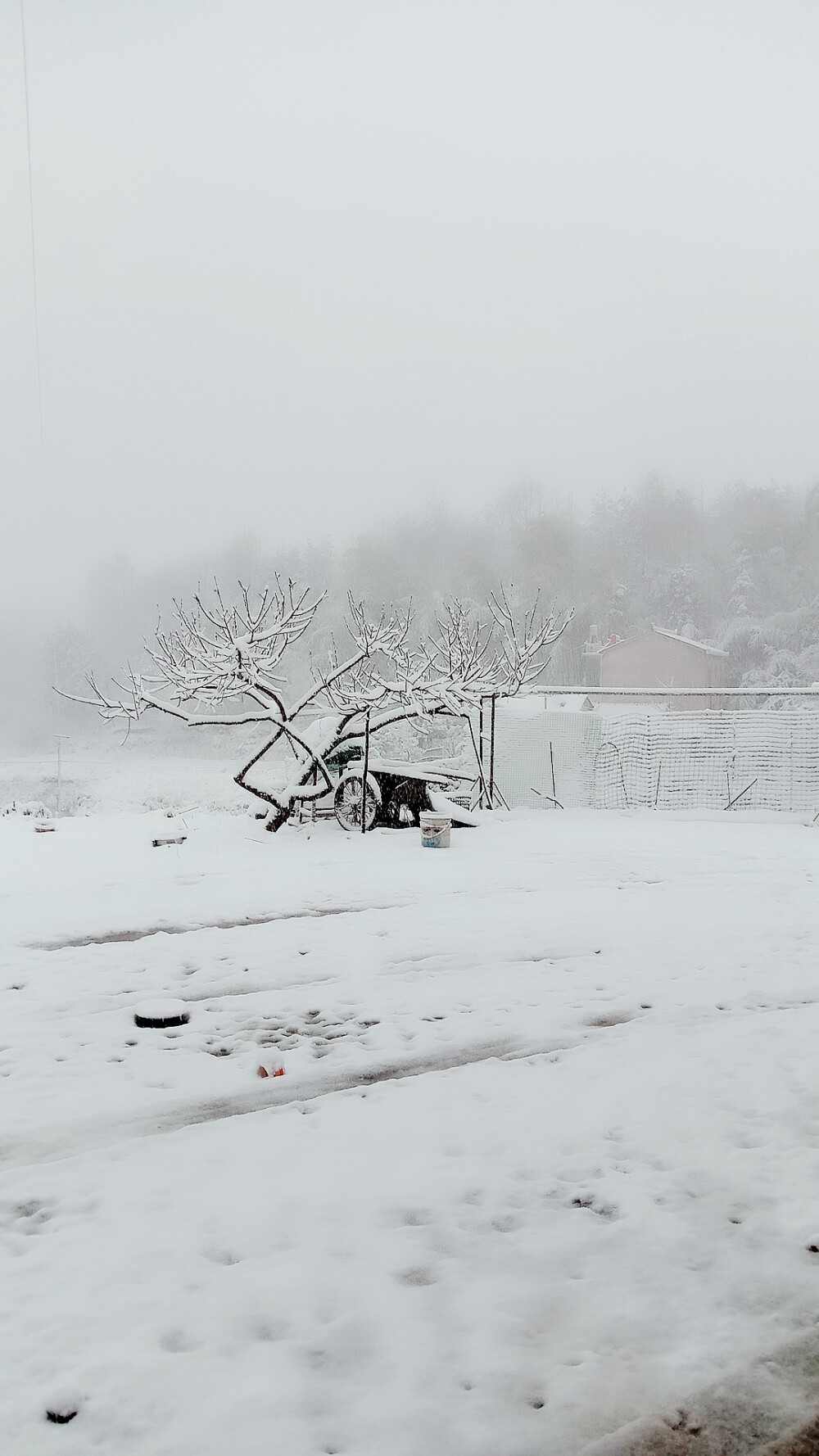 下很大的雪