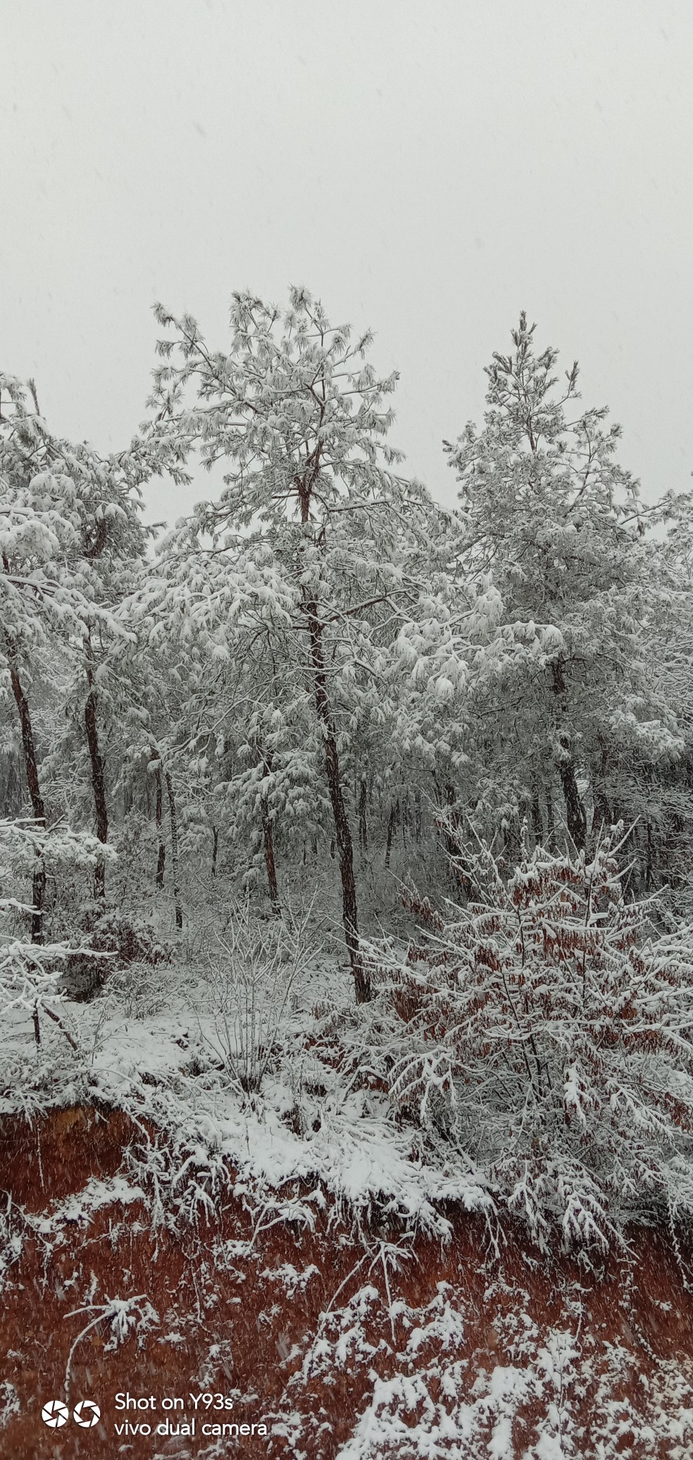 下很大的雪