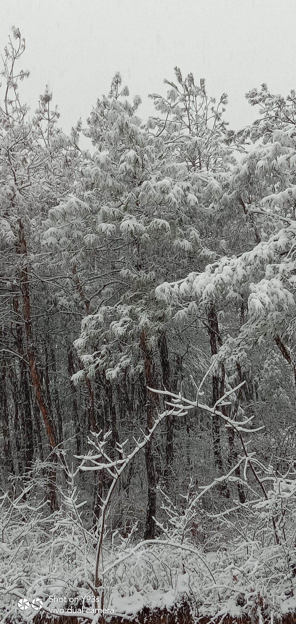 下很大的雪