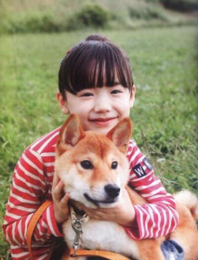 蘆田愛菜 女孩と柴犬