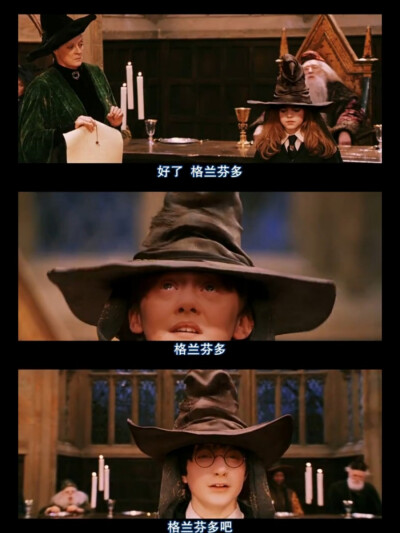 格兰芬多！
自截