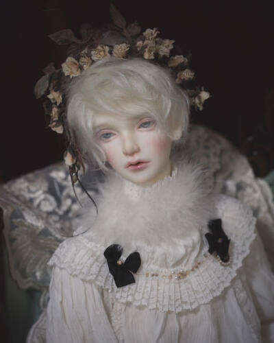 BJD♡
