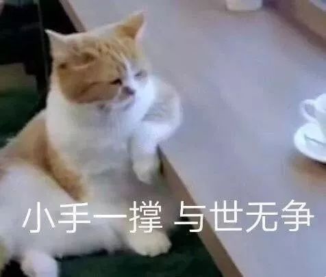 表 情 包