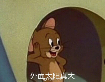 傑尼龜