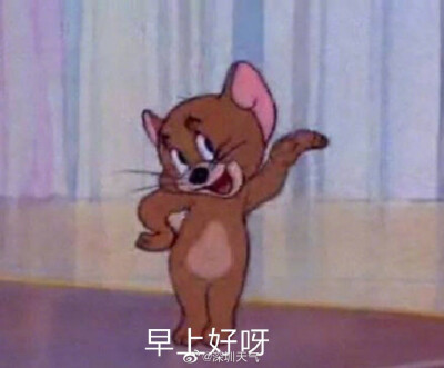 傑尼龜