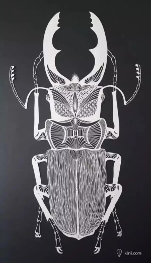 剪纸
日本的Masayo