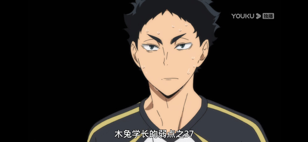 赤苇啊啊啊啊啊啊啊啊.