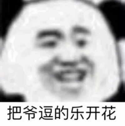 七也 表情包