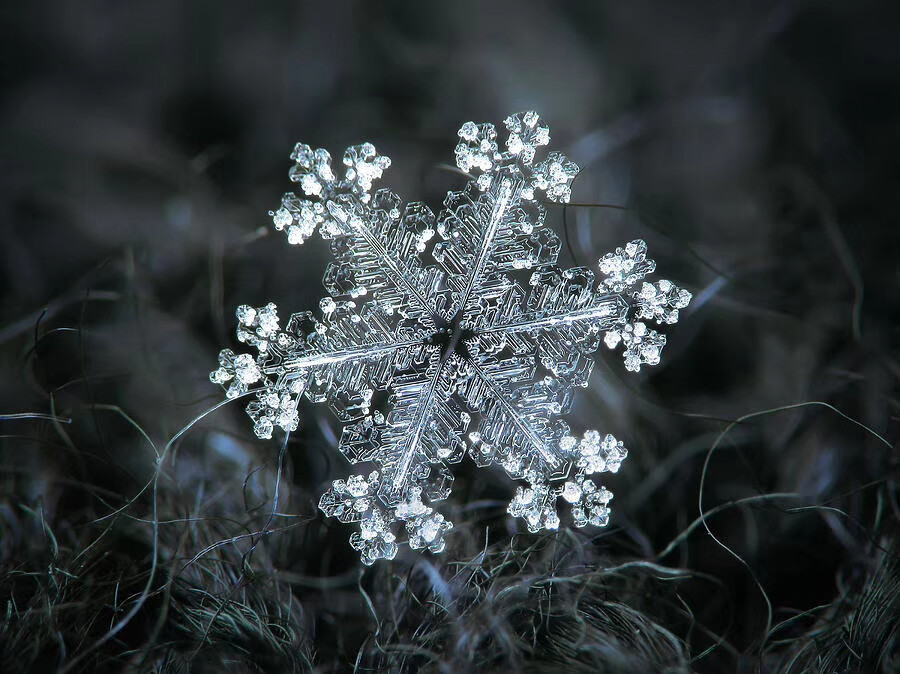 俄罗斯摄影师Alexey Kljatov 用微距镜头拍摄的❄️
大自然的造物真神奇