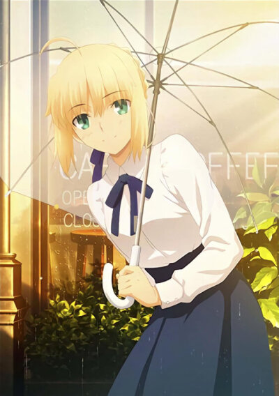 saber，fgo，fate，吾王