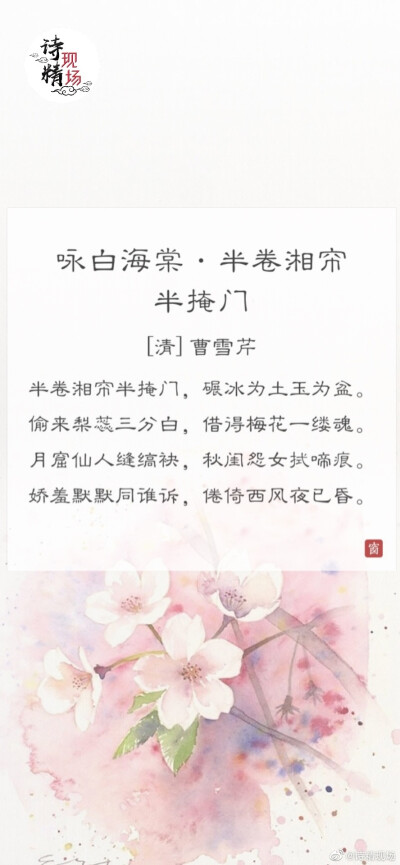 诗词里的花——海棠花