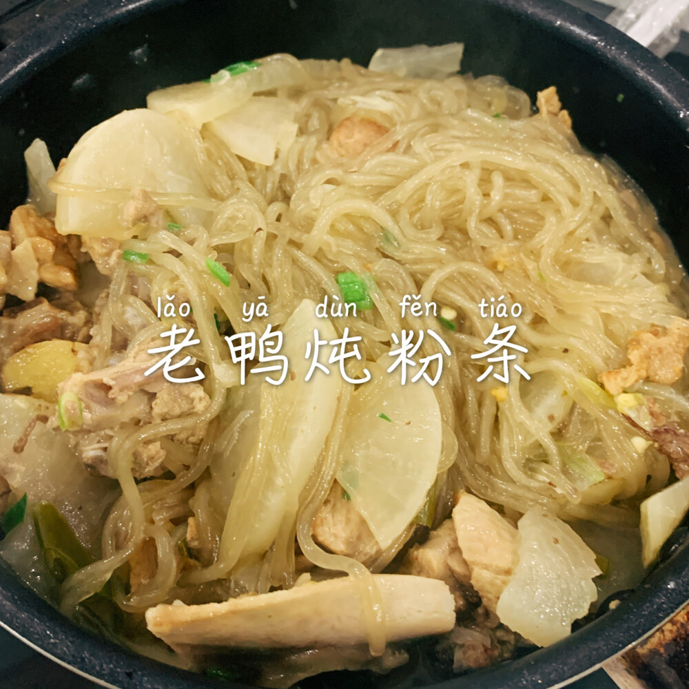 老鸭炖粉条