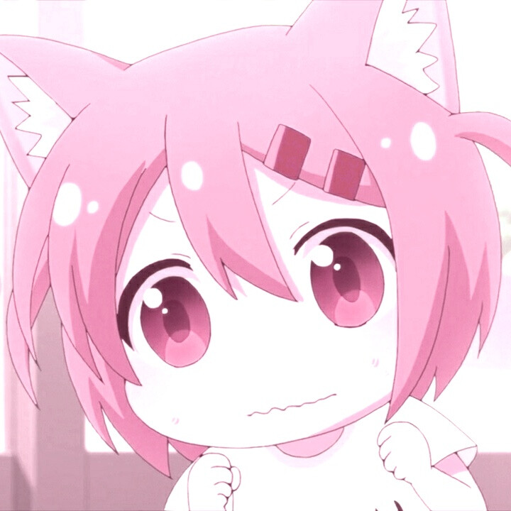 猫咪日常
