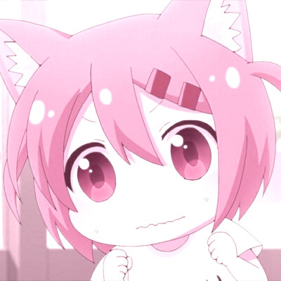 猫咪日常