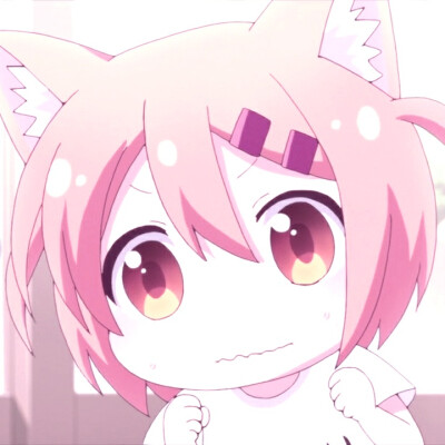 猫咪日常