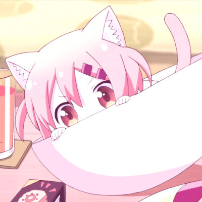 猫咪日常