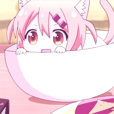 猫咪日常