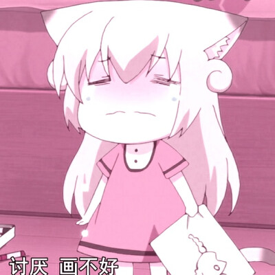猫咪日常