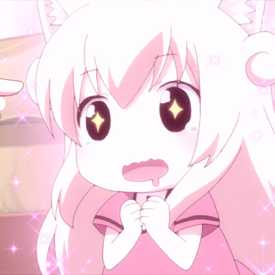 猫咪日常