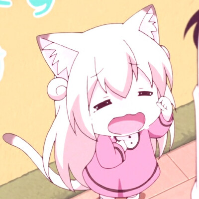 猫咪日常