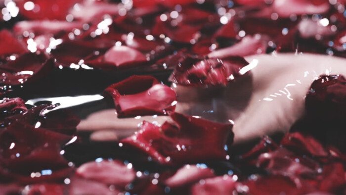 橙光素材
抱图dd
出处标明堆糖江鸢黎
有意和专可＋QQ