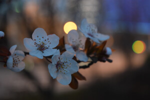 世事洞明皆学问，人情练达即文章。