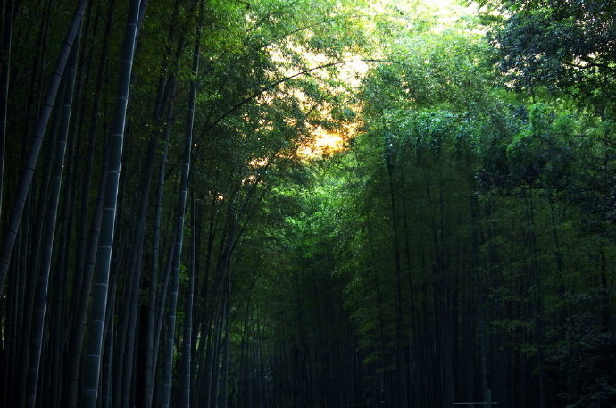 清晨入古寺，初日照高林曲径通幽处，禅房花木深山光悦鸟性，潭影空人心万籁此俱寂，唯闻钟磬音----常建《题破山寺后禅院》