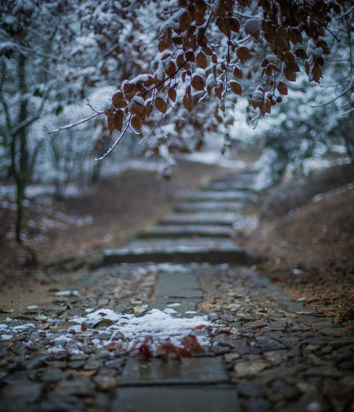 一声玉笛海天空，十二楼台面面通。人影与梅同隐约，月光兼雪更玲珑。—— 《声影》孙原湘#下雪# #北京下雪#